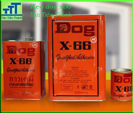 keo dog x66 - keo con chó dog x66 keo dog x66 - keo con chó dog x66